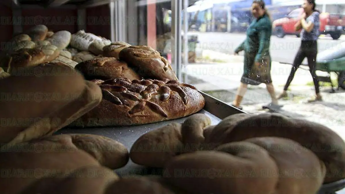 Panadería de Coacoatzintla RC